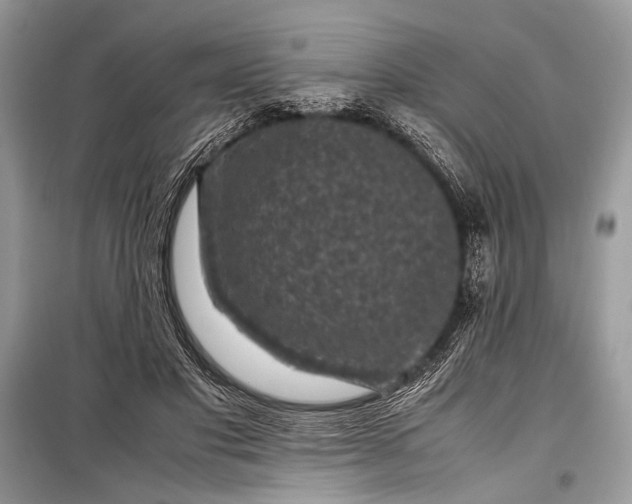 X0000099290501200805161328