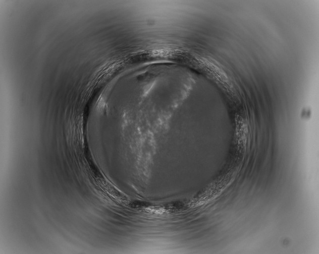 X0000099290502200805161328