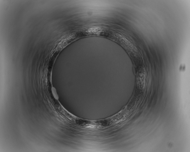 X0000099290504200805161328