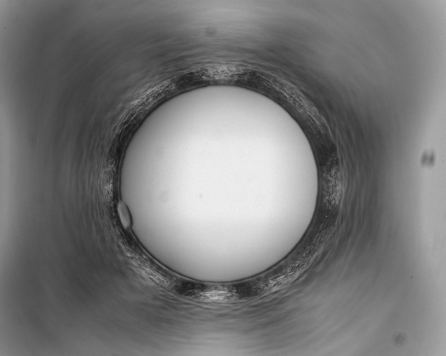 X0000099290505200805161328