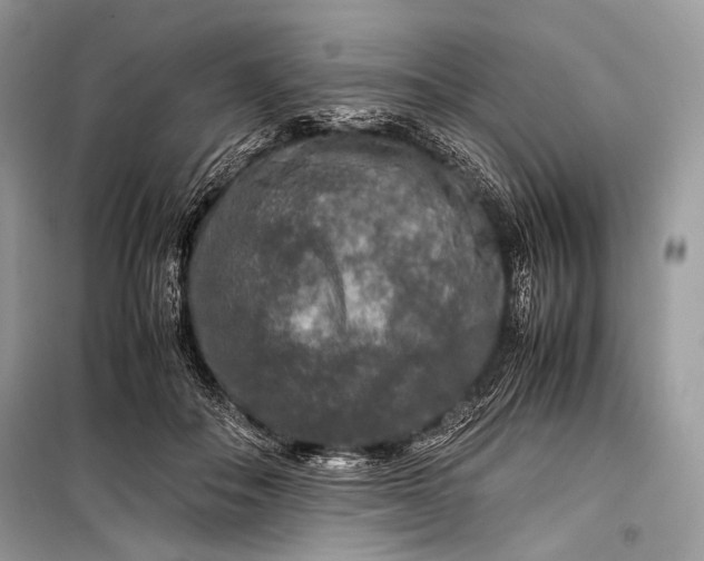 X0000099290506200805161328