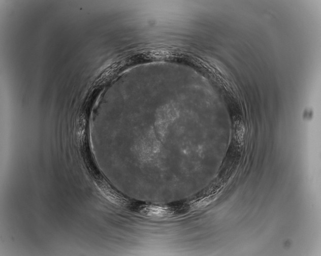 X0000099290507200805161328