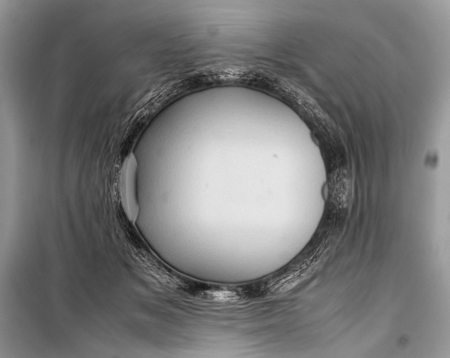 X0000099290509200805161328