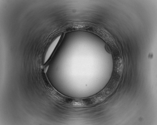 X0000099290510200805161328