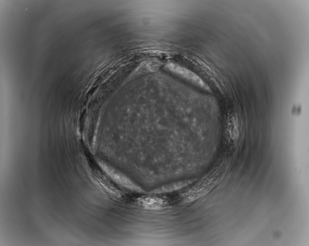 X0000099290512200805161328