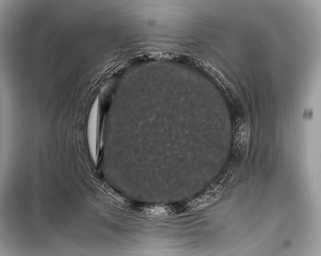 X0000099290513200805161328