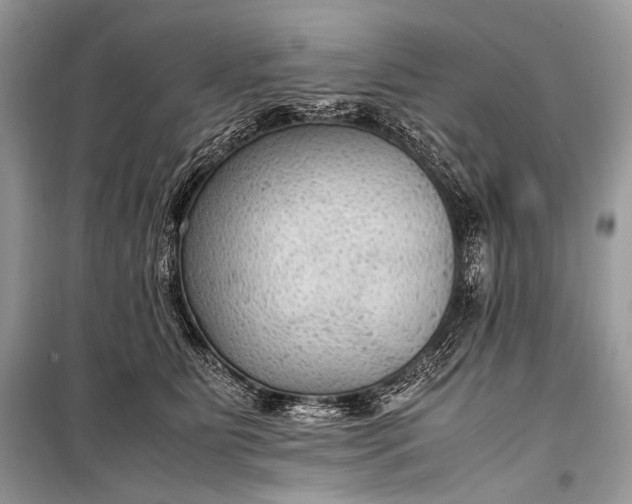 X0000099290515200805161328