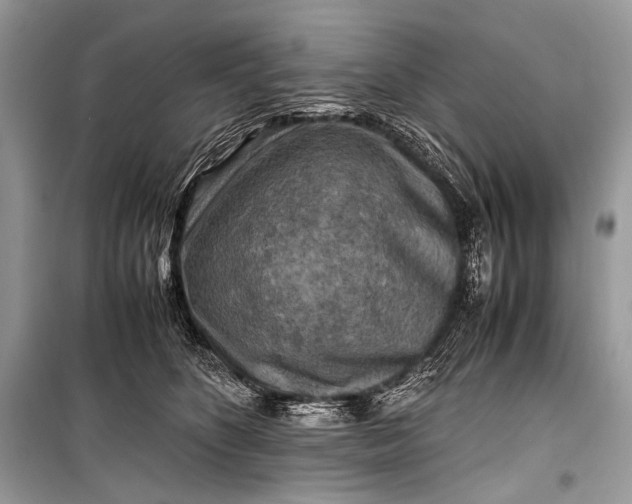 X0000099290516200805161328