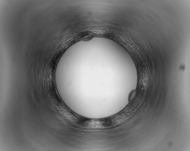 X0000099290518200805161328