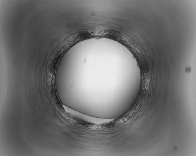 X0000099290521200805161328