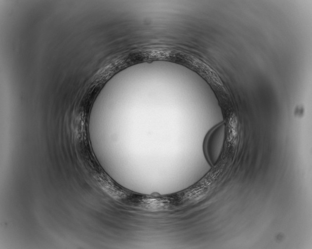 X0000099290522200805161328