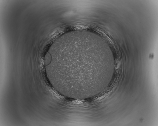 X0000099290523200805161328