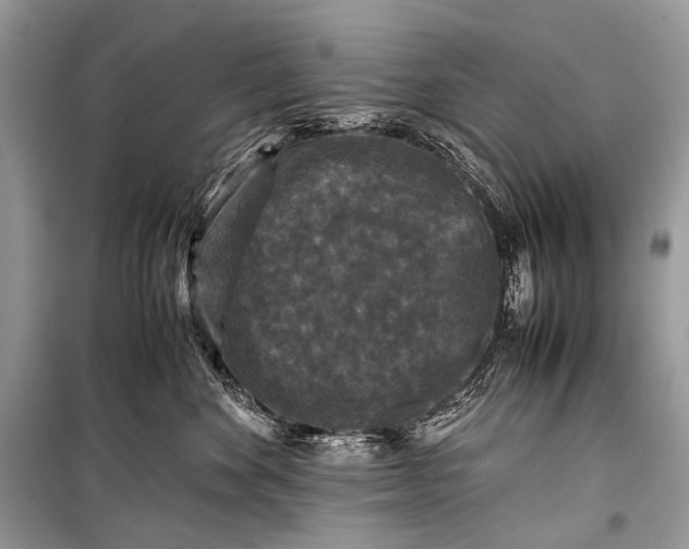 X0000099290524200805161328