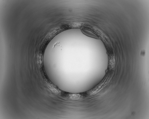 X0000099290525200805161328