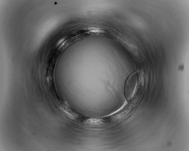 X0000099290526200805161328