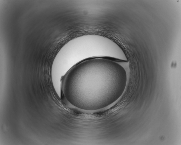 X0000099290528200805161328