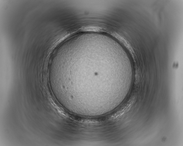 X0000099290529200805161327