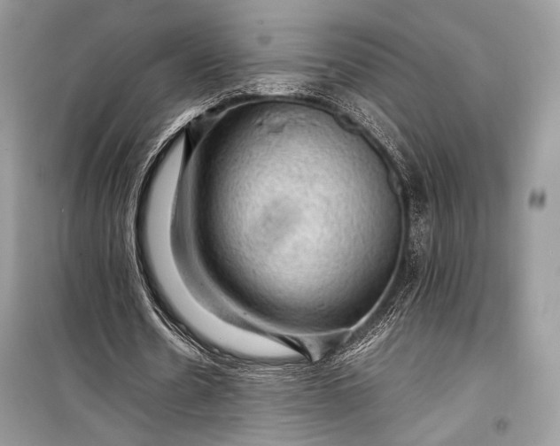 X0000099290530200805161327