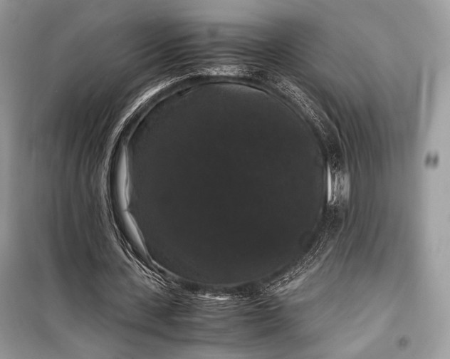 X0000099290531200805161327