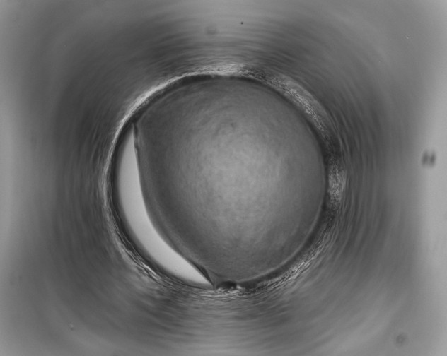 X0000099290532200805161327