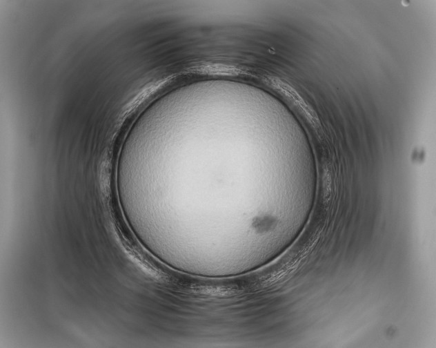 X0000099290533200805161327