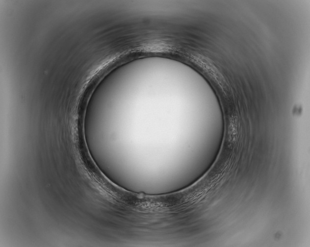 X0000099290535200805161327