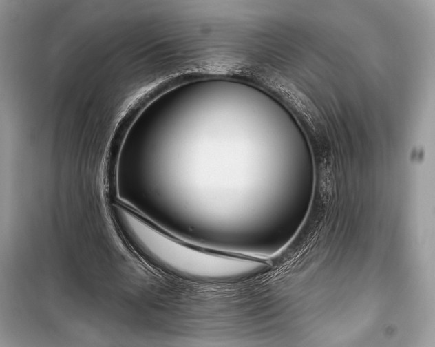 X0000099290536200805161327