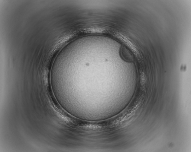 X0000099290537200805161327