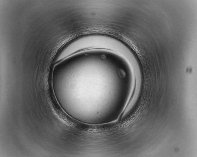 X0000099290538200805161327