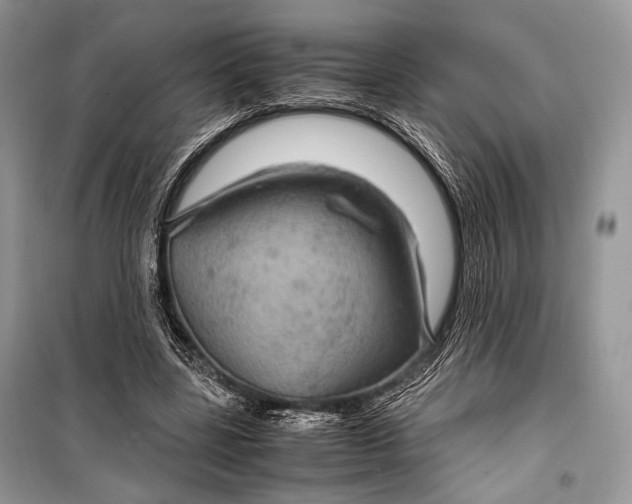 X0000099290539200805161327