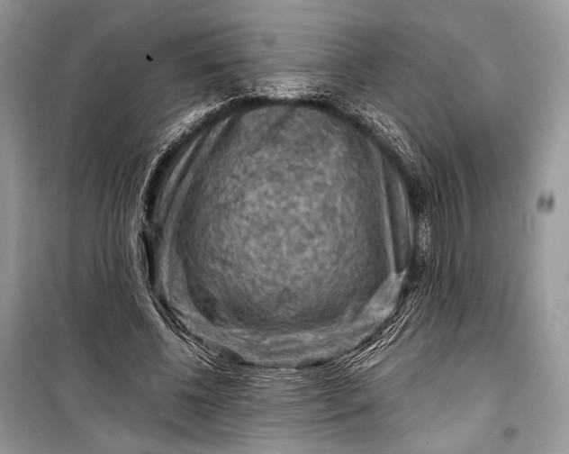 X0000099290540200805161327