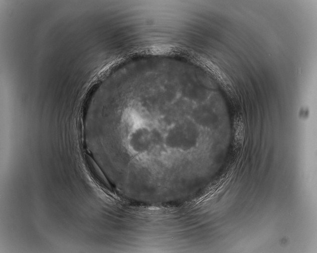 X0000099290542200805161327