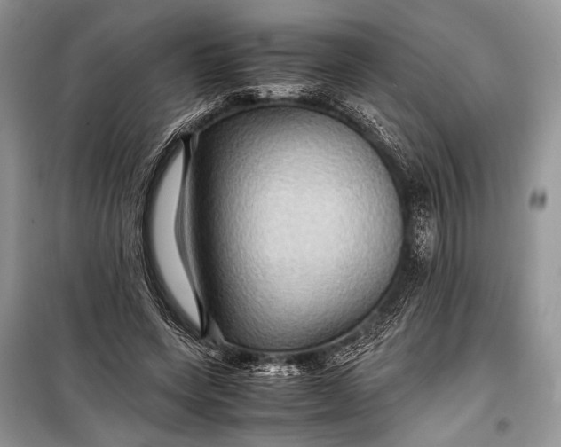 X0000099290543200805161327