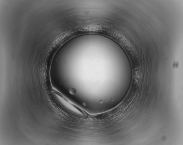 X0000099290544200805161327