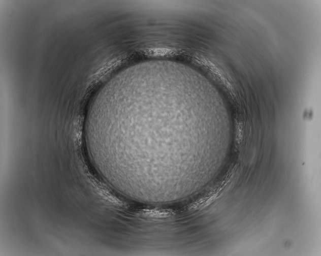 X0000099290545200805161327