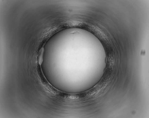 X0000099290546200805161327