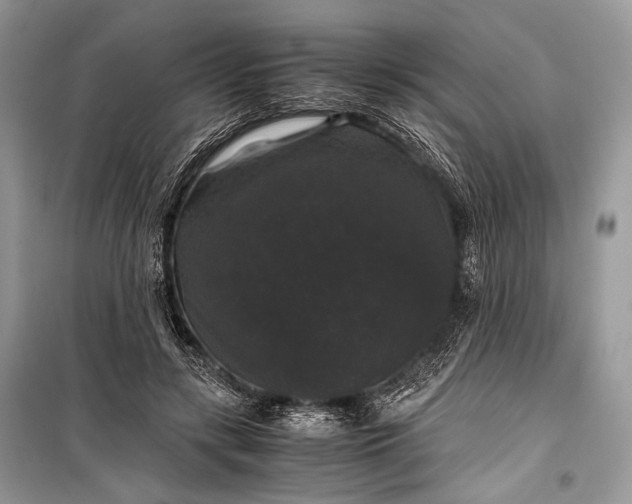 X0000099290547200805161327