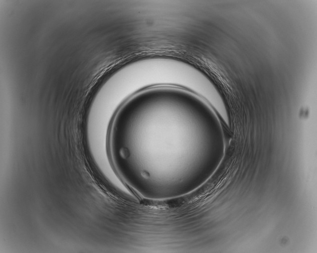 X0000099290548200805161327