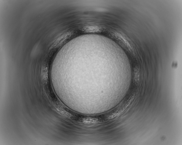 X0000099290549200805161327