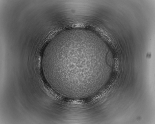 X0000099290550200805161327