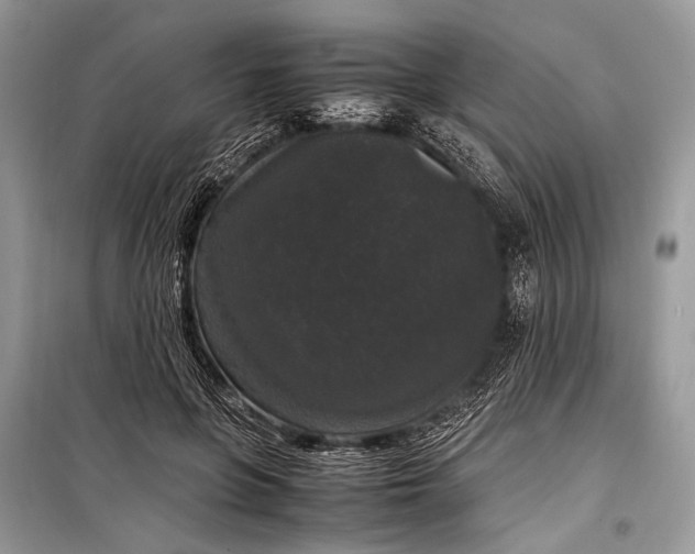 X0000099290551200805161327