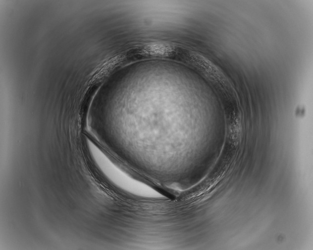 X0000099290552200805161327