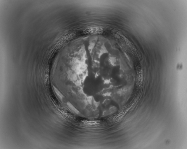 X0000099290553200805161327