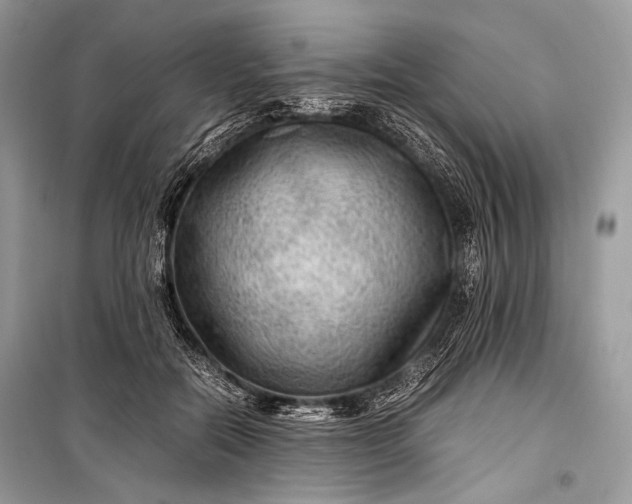 X0000099290554200805161327