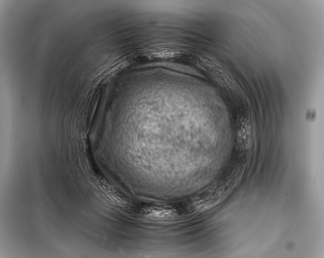 X0000099290555200805161327