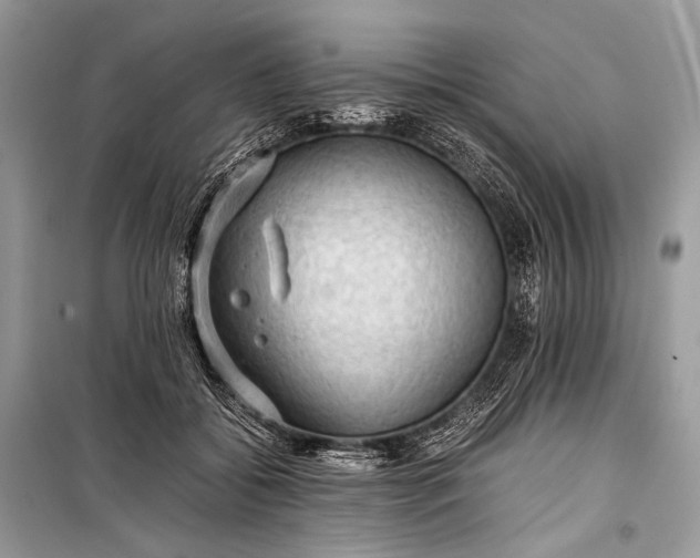 X0000099290556200805161327