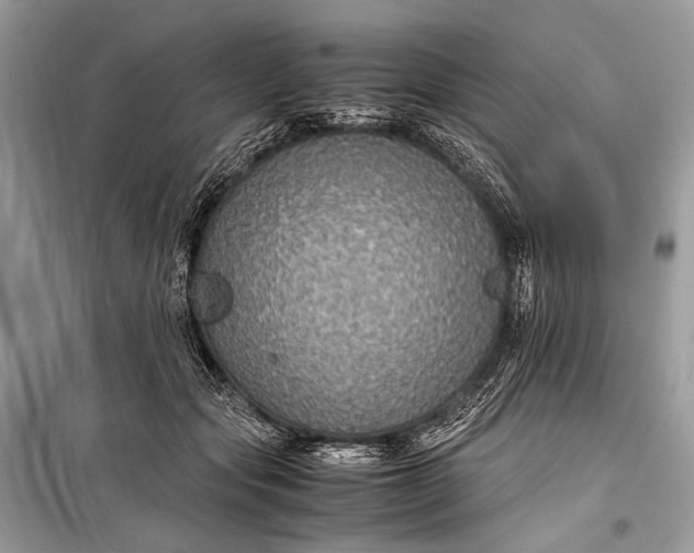 X0000099290557200805161327