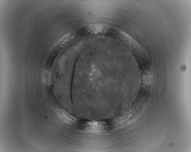 X0000099290558200805161327