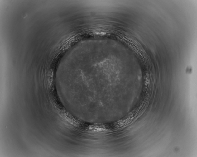 X0000099290559200805161327