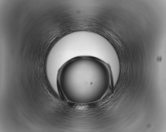 X0000099290560200805161327